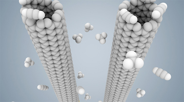 一種新型DNA生物傳感器的簡(jiǎn)要原理介紹 一種新型DNA生物傳感器的簡(jiǎn)要原理介紹