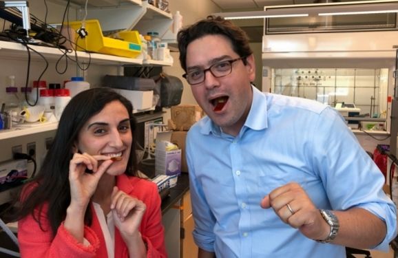 年終大盤點(diǎn)：傳感器行業(yè)十大熱點(diǎn)回顧