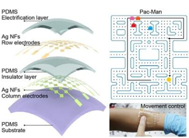 基于摩擦納米發(fā)電機原理研發(fā)制備出一種透明可拉伸觸覺傳感器