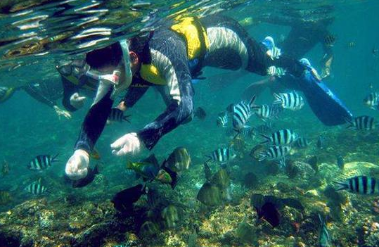 潛水設(shè)備中壓力傳感器應(yīng)用技術(shù)解決方案 潛水設(shè)備中壓力傳感器應(yīng)用技術(shù)解決方案